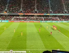 下载官网-丹麦对芬兰队员受伤